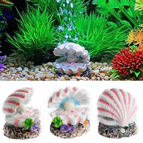 Shell pearl air stone - shell,
