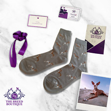 IBIZAN HOUND SOCKS UNISEX FUN