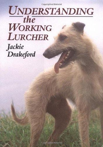 Understanding the working - the,