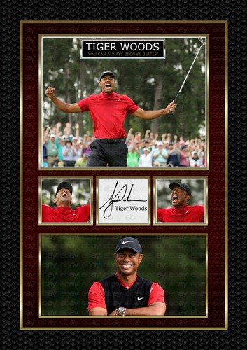 Tiger wood golfer - tiger,