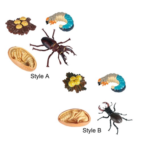 Worm model education - model,