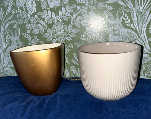 Small ceramic plant - plant, pots