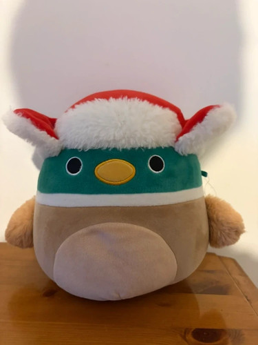 Avery the mallard duck - the,
