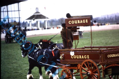 Courage ales horse - courage, dray