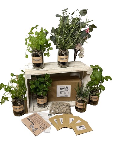 Set indoor herb - 3, garden