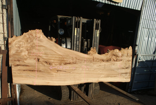 Burr elm slab kiln dried - slab,