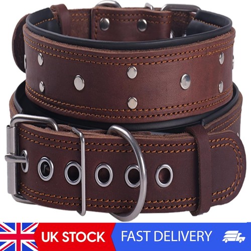 Leather studded dog - leather,