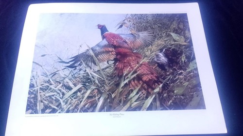 Alan hayman limited edition - hayman,