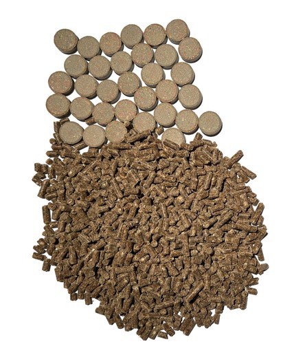 Bloodworm fish food pellets - fish,