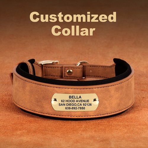 Wide leather dog collar - dog,
