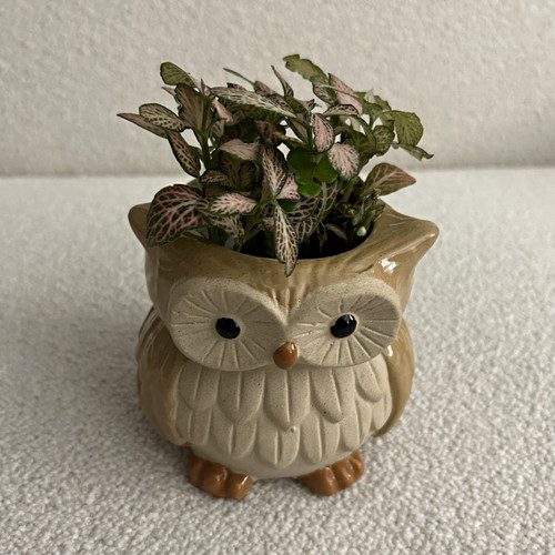 Ceramic gloss owl shaped - gloss,