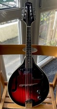 Stagg Electro Acoustic