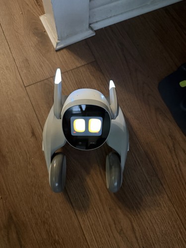 Loona blue smart pet - loona, robot