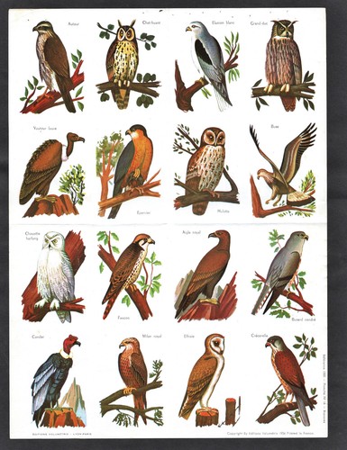 Birds prey rare complete 16 - prey,
