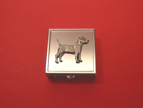 Patterdale terrier square - on,