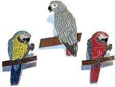 African Grey & Macaw Parrot