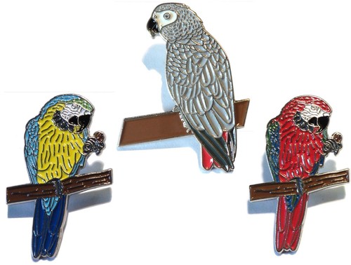 African grey macaw parrot - grey,