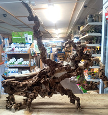 Gnarly Scapers Wood Aquarium