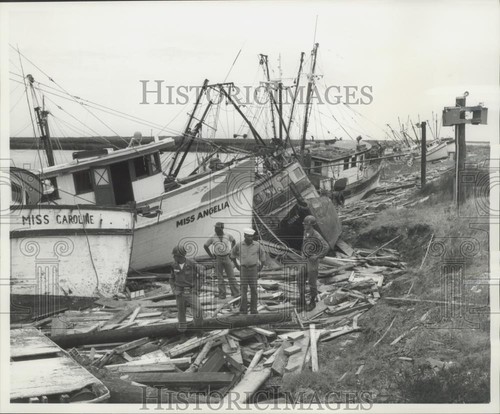 1961 press photo shrimp - press,