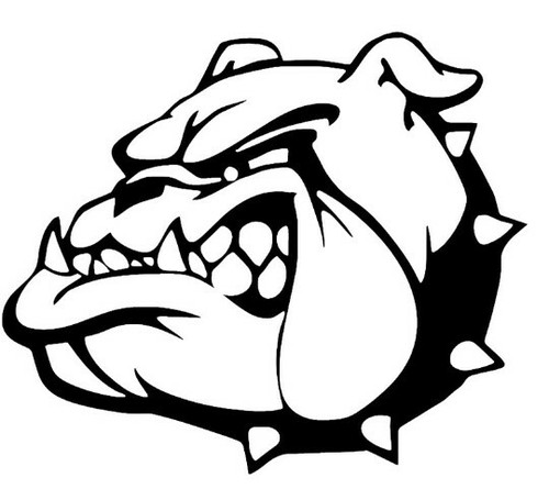 English british bulldog pet - english,