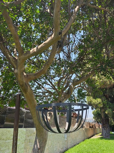 Vintage iron hanging plant - vintage,