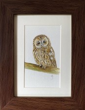 ORIGINAL (Not A print!) Framed