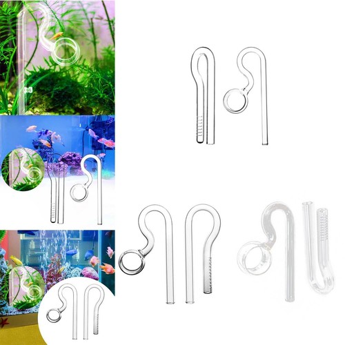 Aquariums glass lily - aquariums,