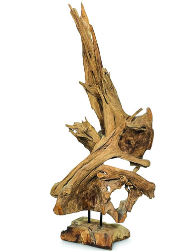 Large teak root - large,