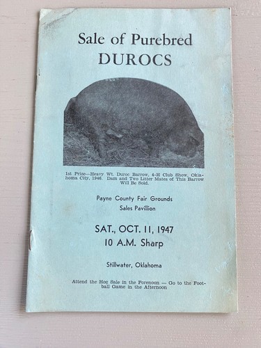Vintage purebred durocs hogs - durocs,