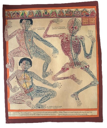 Medical thangka late 20th - late,