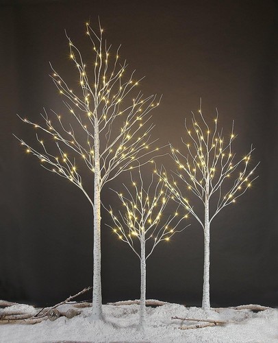 Christmas birch tree pre - christmas,