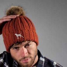 German Shorthaired Pointer