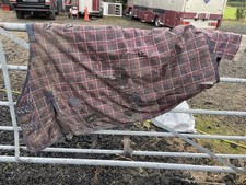 FOR REPAIR Rhinegold 4’9” Turnout Rug.  Mediumweight 200g