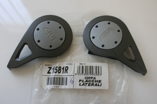 Plates cover mechanism visor