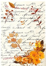 FURNITURE TRANSFER FRENCH