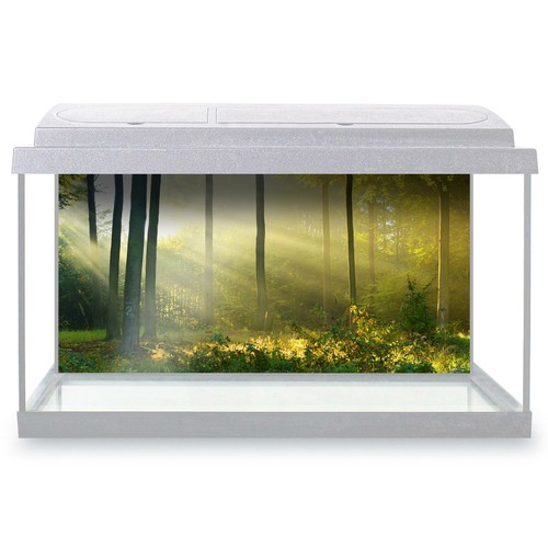 Fish tank background 90x45cm - tank,
