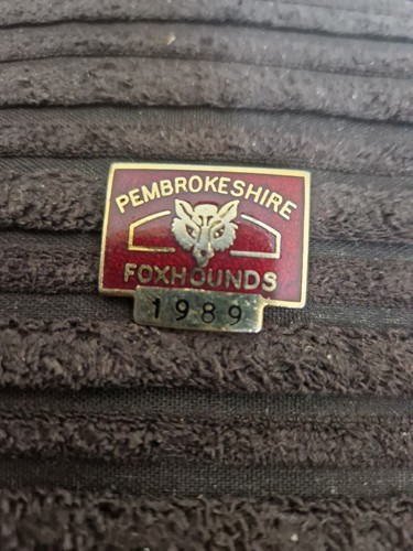 Fox hunting pembrokeshire - fox,