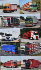 6 X 4 TRUCK PHOTOS  LIVESTOCK /  TRANSPORT TRUCKS X 10  LOT 17