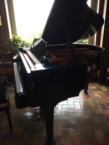 Quarter grand piano young - piano,,