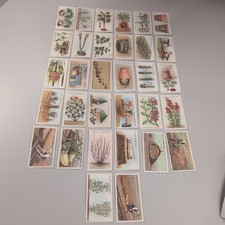 W.D. & H.O. WILLS LTD 1923  GARDEN HINTS  - 32 OF 50 CARDS VG 102 tears old