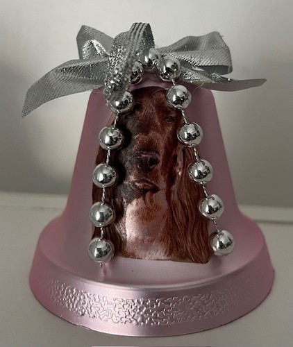 Irish setter pink colour - setter,