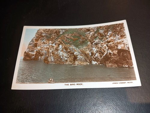 The bird rock carreg - rock, /