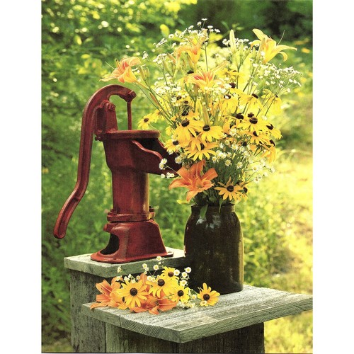 Vintage hand water pump - hand, 1980s