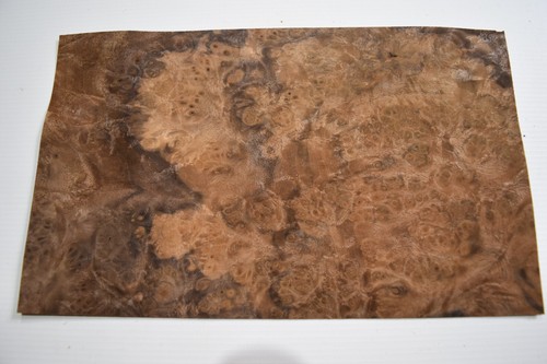 Walnut burr burl real wood - /,