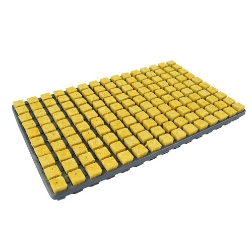 Cultiwool crb propagation - cultiwool,
