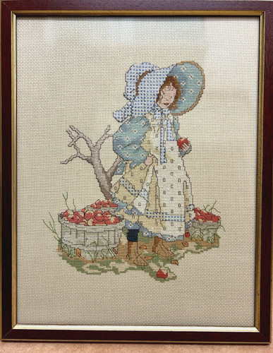 Framed completed cross stitch - framed,