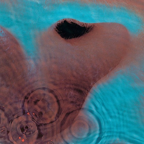 Pink floyd meddle vinyl - meddle, lp
