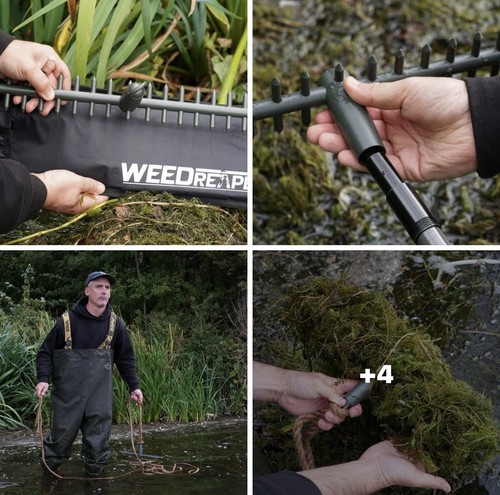 Gardner weed reaper - weed, rake