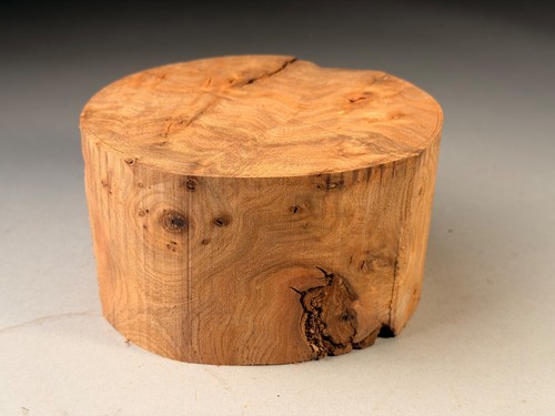 Burr elm wood turning bowl - elm,