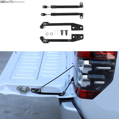 Tailgate assist shock struts - shock,